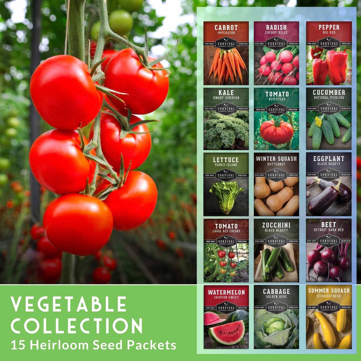 Promotional graphic for a vegetable seed packet collection, showing a close-up of ripe red tomatoes on the vine on the left and a grid of 15 labeled seed packet designs on the right. Text at the bottom reads 'VEGETABLE COLLECTION 15 Heirloom Seed Packets'.
