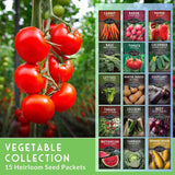 Promotional graphic for a vegetable seed packet collection, showing a close-up of ripe red tomatoes on the vine on the left and a grid of 15 labeled seed packet designs on the right. Text at the bottom reads 'VEGETABLE COLLECTION 15 Heirloom Seed Packets'.