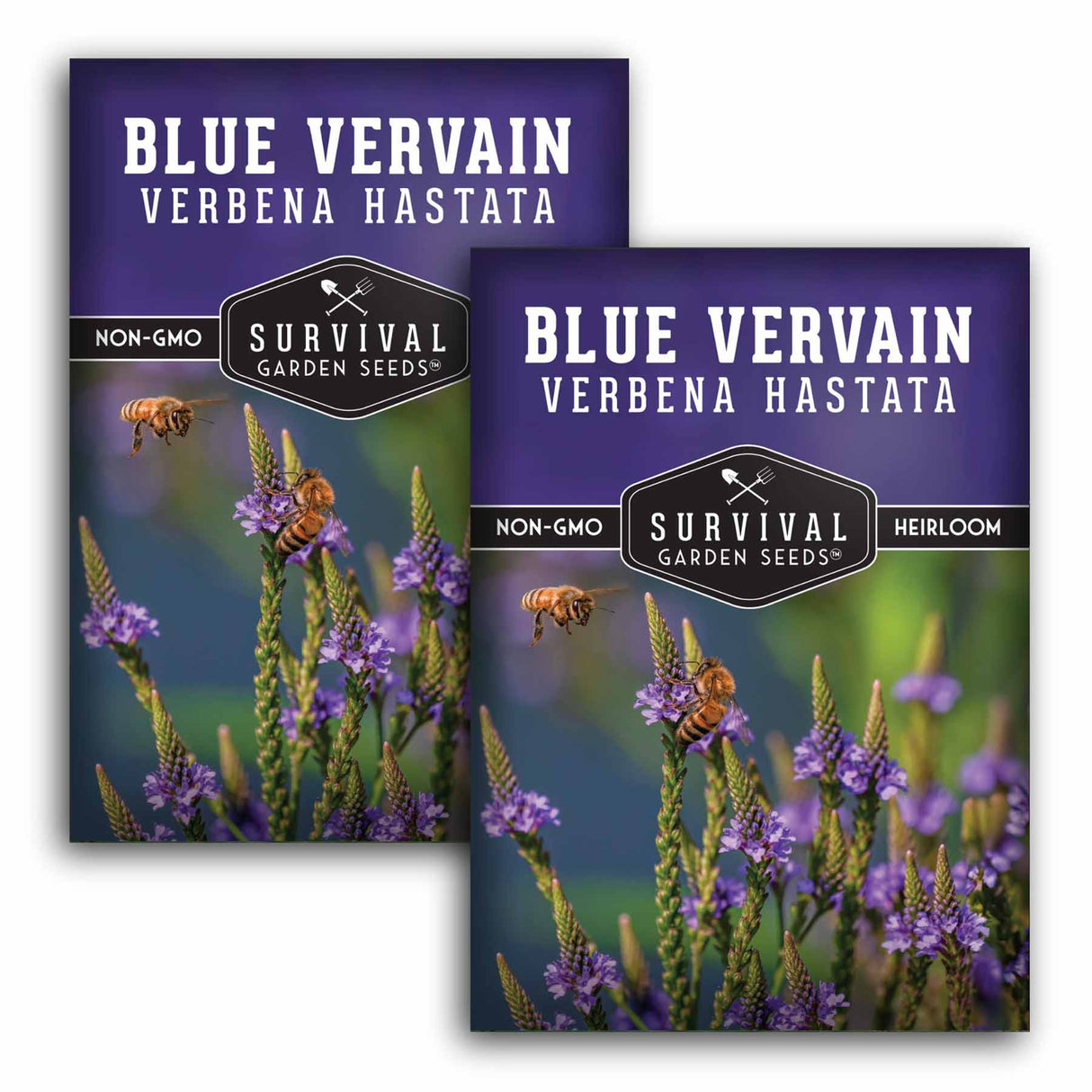 Two packages of Survival Garden Seeds Blue VervainVerbena Hastata on a white background