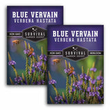Two packages of Survival Garden Seeds Blue VervainVerbena Hastata on a white background