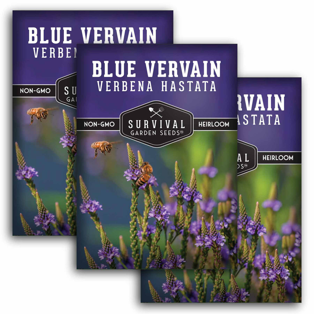 Three packages of Survival Garden Seeds Blue VervainVerbena Hastata on a white background