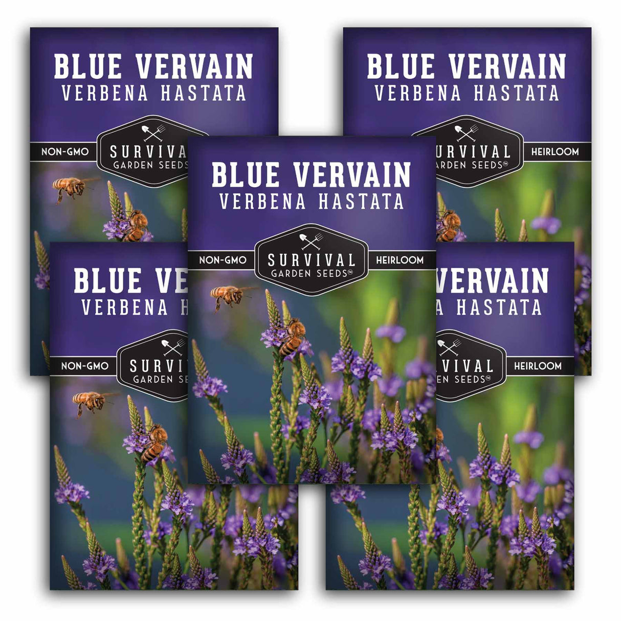 5 packages of Survival Garden Seeds Blue VervainVerbena Hastata on a white background
