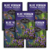 5 packages of Survival Garden Seeds Blue VervainVerbena Hastata on a white background