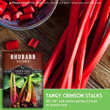 Red rhubarb stalks on a wooden surface with a seed packet labeled 'Rhubarb Victoria' and text about edible stalks.