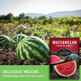 Watermelon seeds package shown over a farm scene with whole and sliced watermelons in a field. The package reads 'Watermelon Crimson Sweet' and 'Survival Garden Seeds,' with a green banner at the bottom saying 'Delicious Melons' and 'Multiple large melons that ripen evenly.