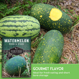 Watermelon and green gourd on grass with Moon & Stars seed packet.