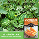 Watermelons growing in a garden with Survival Garden Seeds packaging.