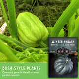 Green winter squash on a plant with 'Survival Garden Seeds' label