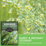 Wormwood seed packet with plant in the background