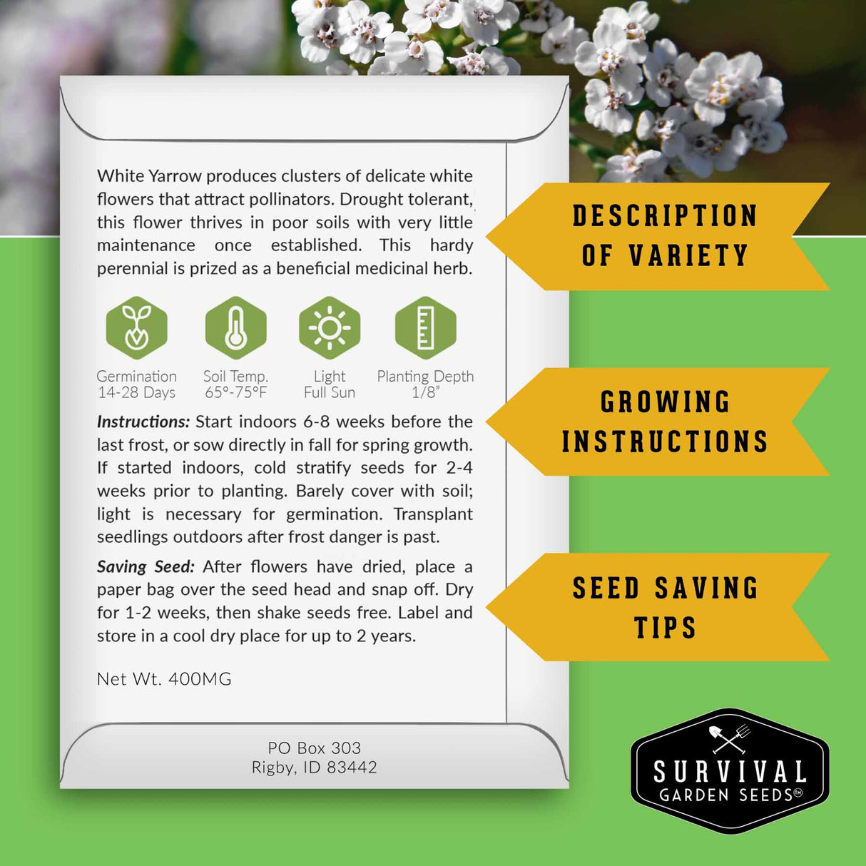 Survival Garden Seeds packaging with white yarrow information on a green background