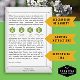 Survival Garden Seeds packaging with white yarrow information on a green background