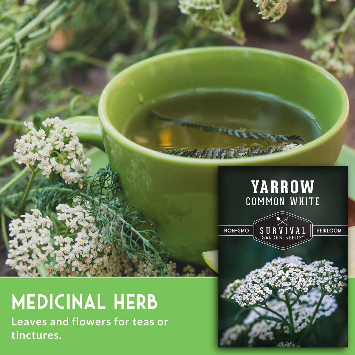 Green cup of yarrow tea with yarrow flowers and a Yarrow seed packet.