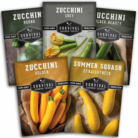 Five packages of Survival Garden Seeds zucchini and summer squash varieties on a white background.