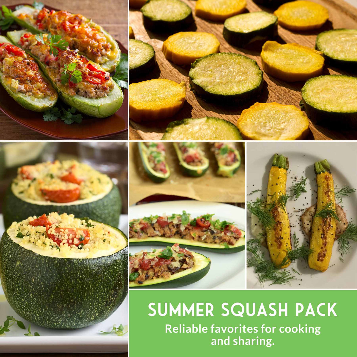 Collage of summer squash dishes including stuffed and roasted varieties.