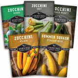 Five packages of Survival Garden Seeds zucchini and summer squash varieties on a white background.