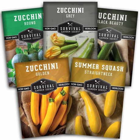 Five packages of Survival Garden Seeds zucchini and summer squash varieties on a white background.