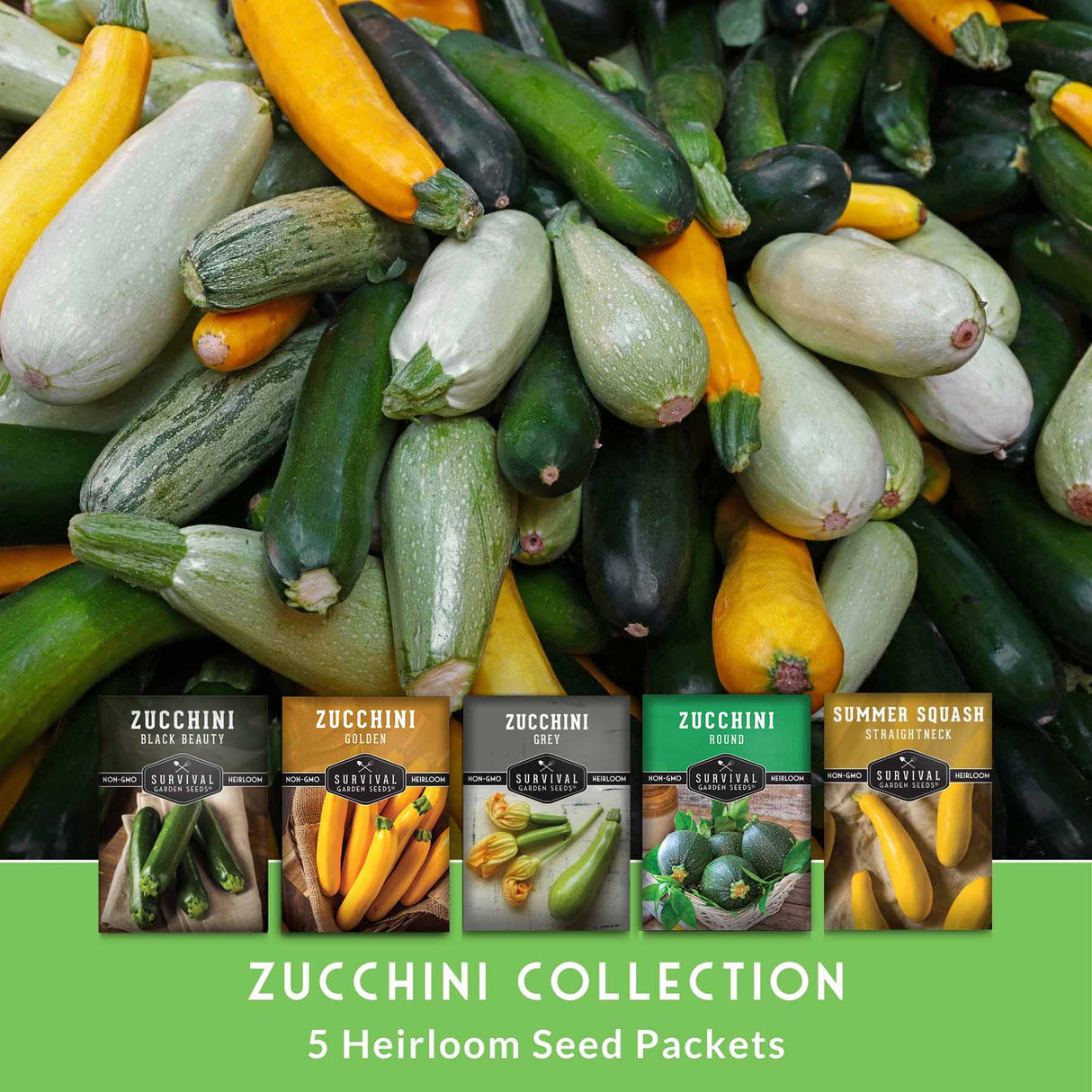 Assorted zucchinis with seed packets for a zucchini collection.