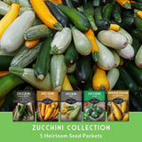 Assorted zucchinis with seed packets for a zucchini collection.