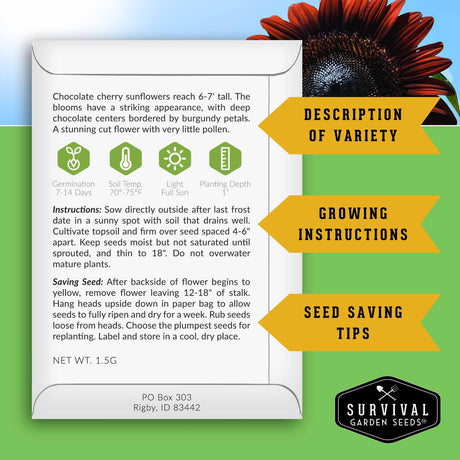 Seed packet with growing instructions and tips for Chocolate cherry sunflowers on a green background.
