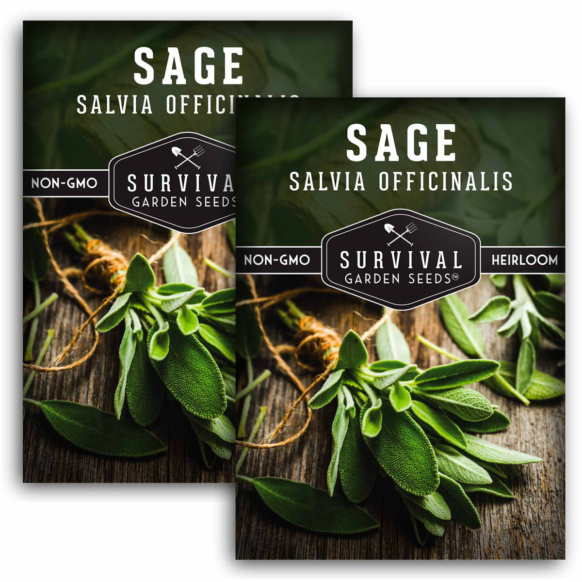 2 packets of Sage seeds