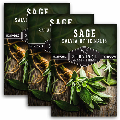 3 packets of Sage seeds