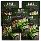 5 packets of Sage seeds