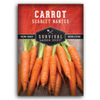 1 packet of Scarlet Nantes Carrot seeds