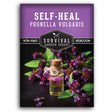 1 packet of Self Heal herb seeds