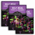 3 Packets of Self-Heal seeds