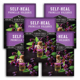 5 Packets of Self-Heal seeds