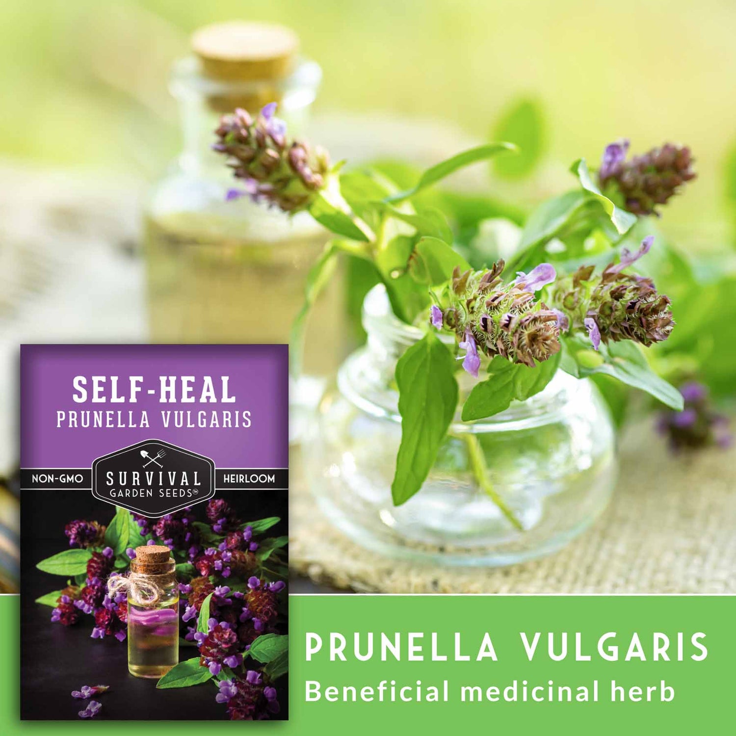 self heal plant seeds Self-Heal Seeds – Medicinal Groundcover – SurvivalGardenSeeds