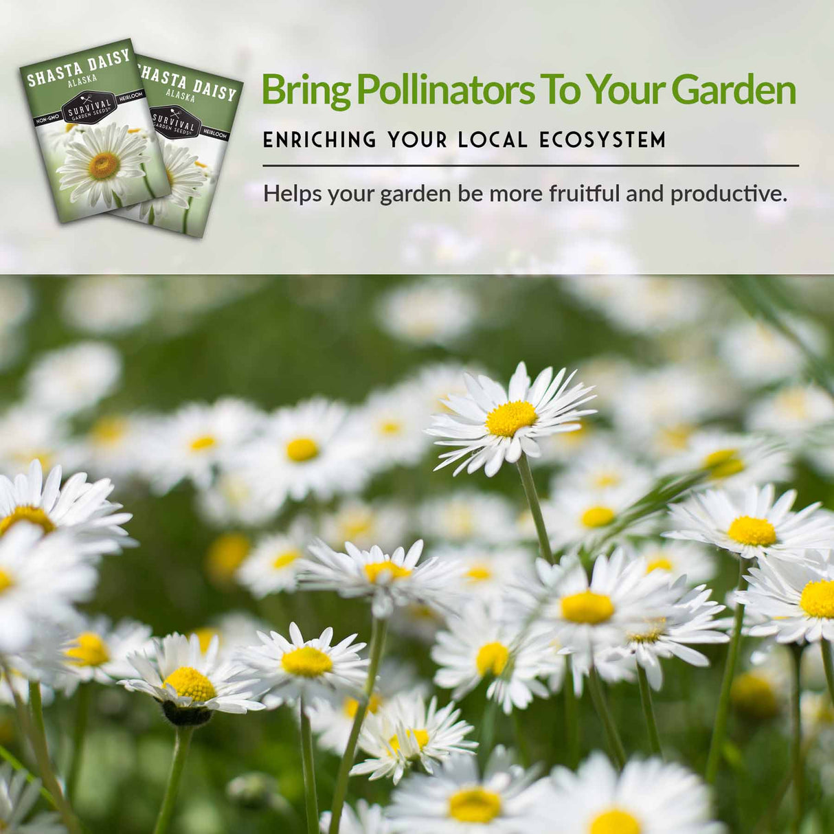 Bring pollinators to your garden