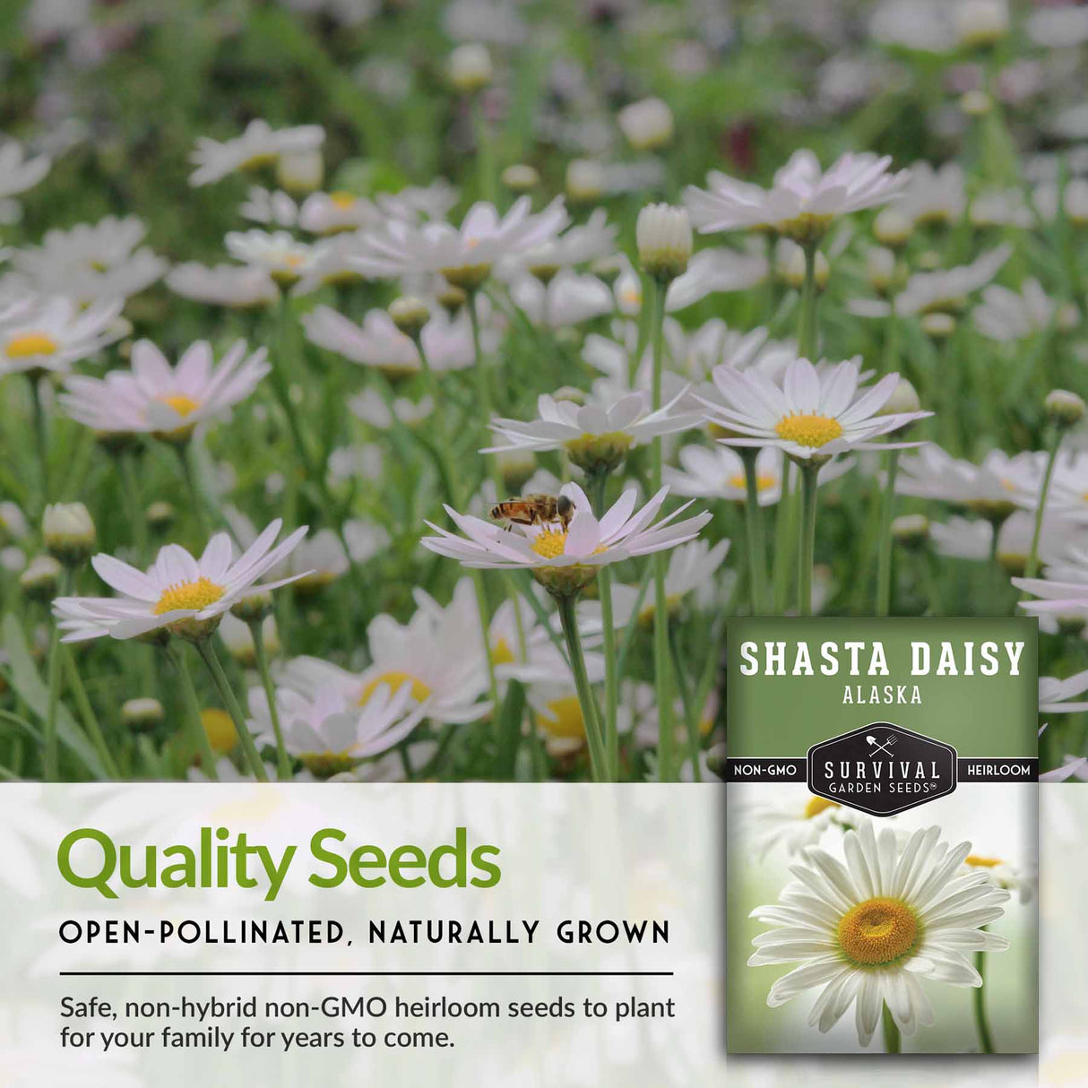 Quality seeds