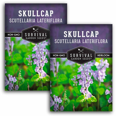 2 packets of Skullcap seeds