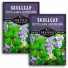 2 packets of Skullcap seeds