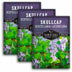 3 packets of Skullcap seeds