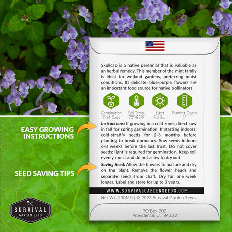 Skullcap seed growing instructions