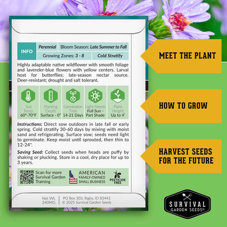 Smooth Blue Aster seed growing instructions