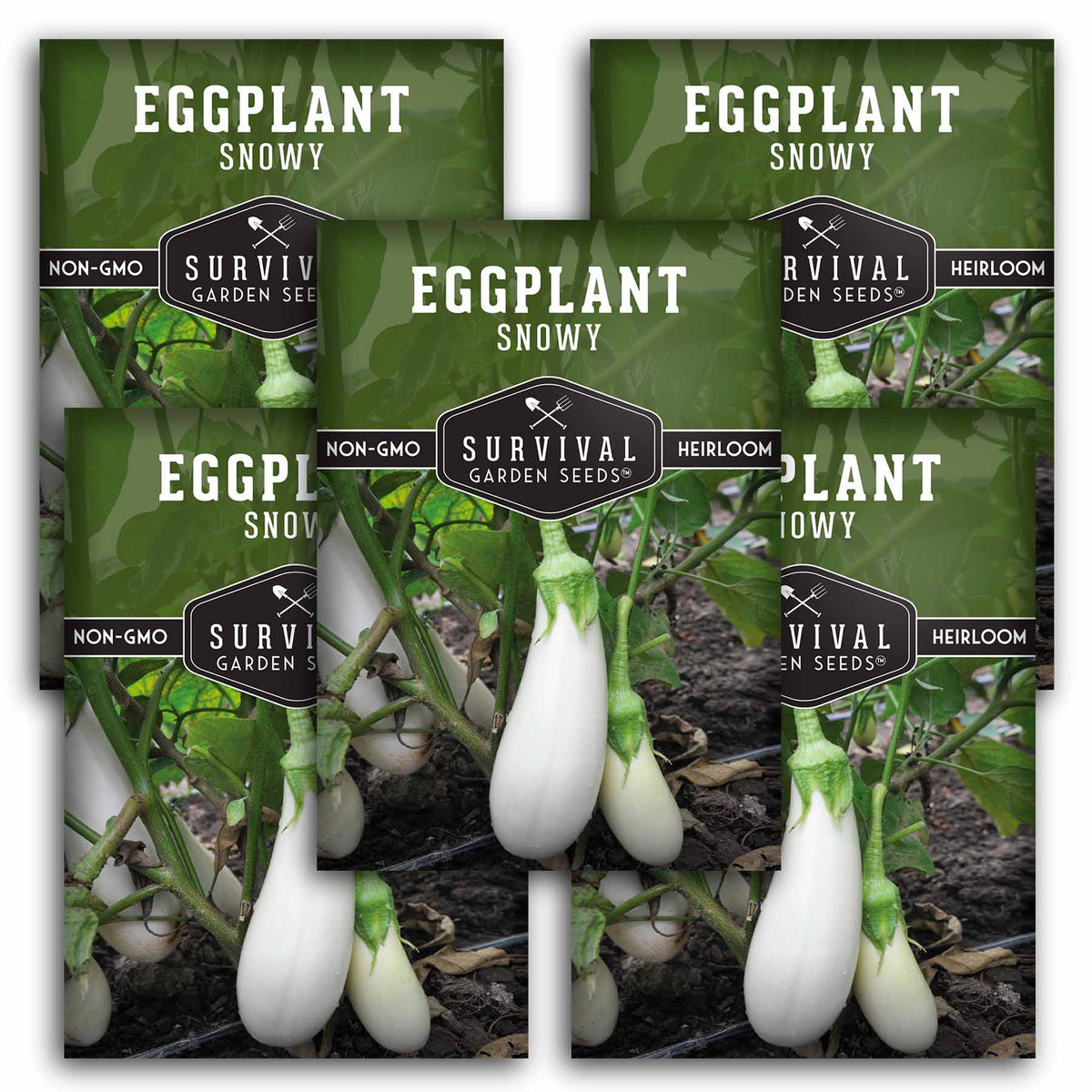 5 packets of Snowy Eggplant seeds