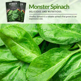 Monster Spinach