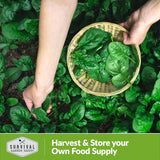 Harvest and Store your own food supply