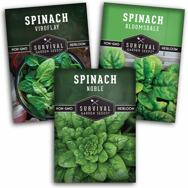 Spinach seed collection 3 packets