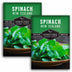 2 packets of New Zealand Spinach seeds