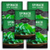 5 packets of New Zealand Spinach seeds