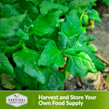 Harvest and store your own food supply