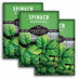 3 Packets of Bloomsdale Spinach seeds