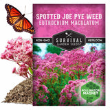 Spotted Joe Pye Weed seed packet with pink flowers and butterfly, labeled 'Survival Garden Seeds'.