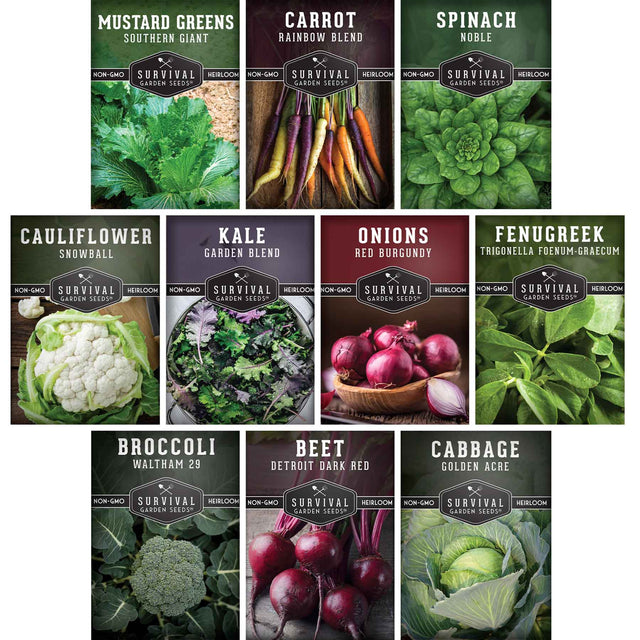 Spring Vegetables Seed Collection