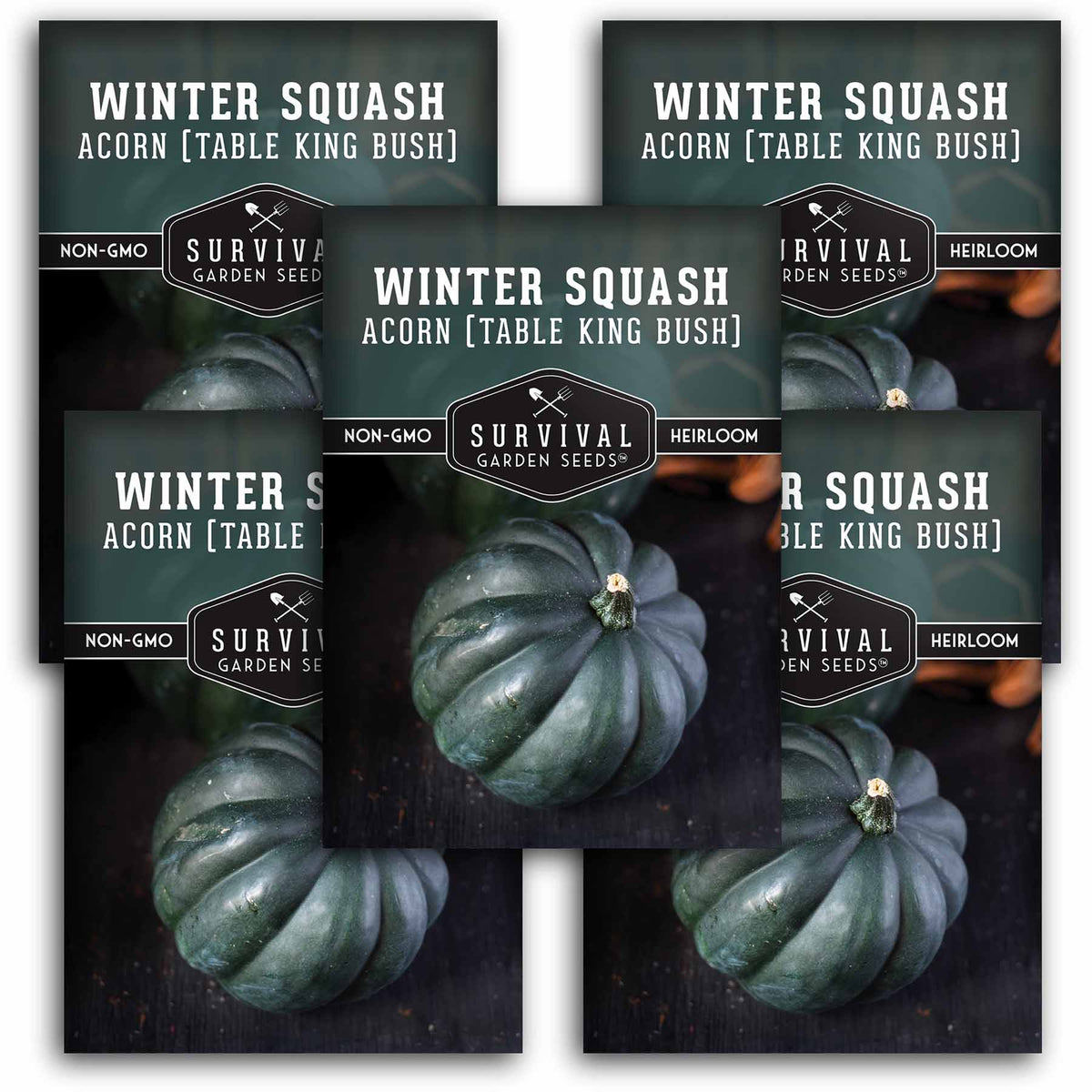 5 packets of Acorn Squash seeds