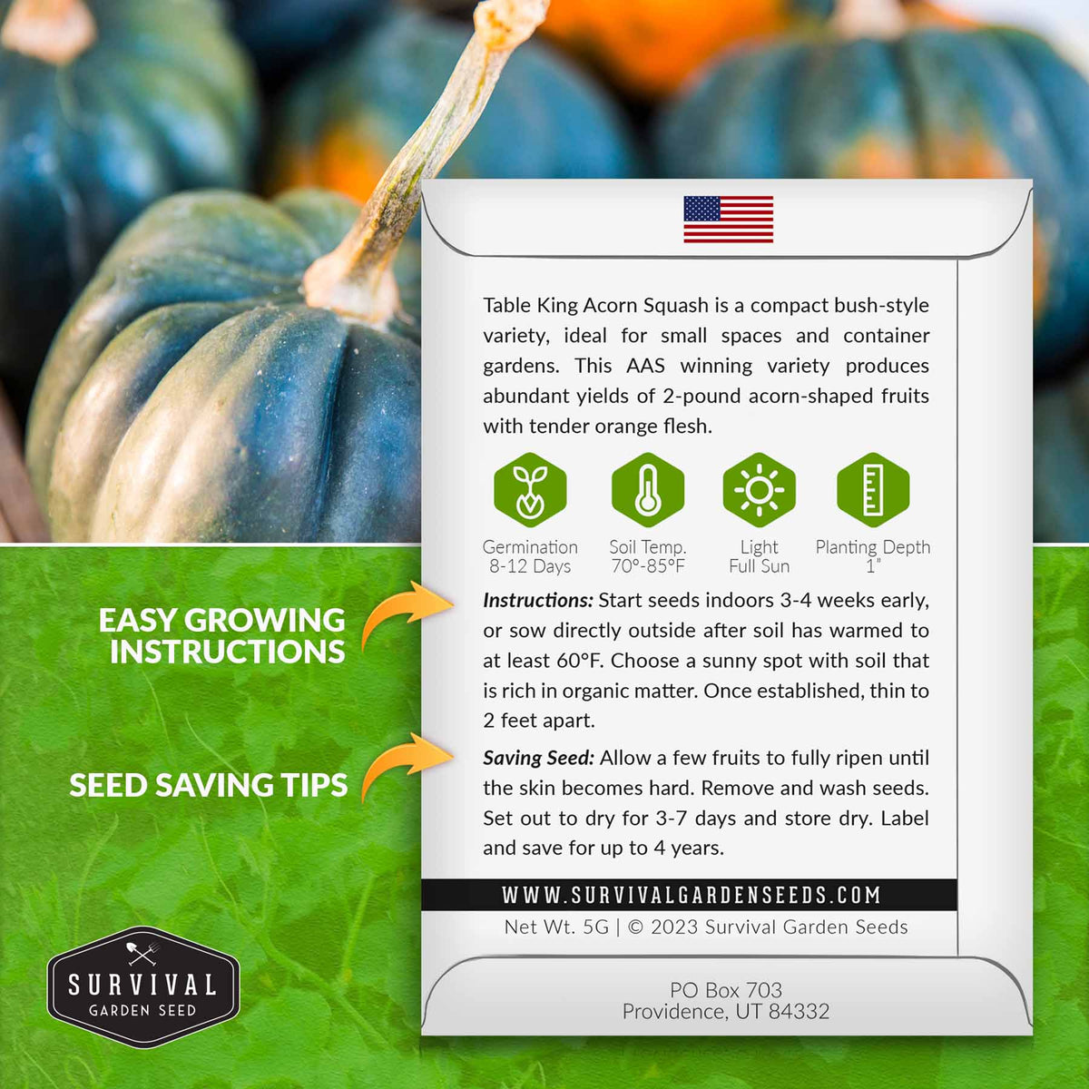 Acorn Squash seed growing instructions